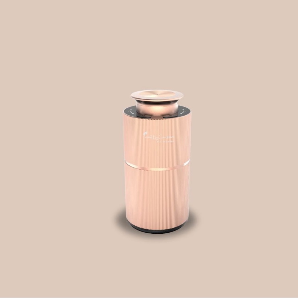 Car diffuser whith 1 mini bottle scent